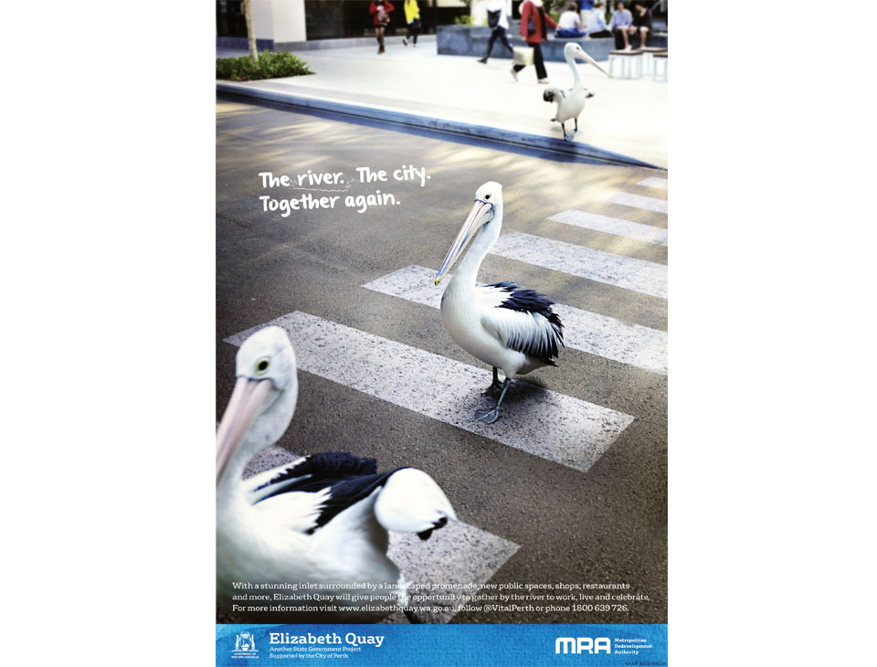 MRA Elizabeth Quay Pelicans